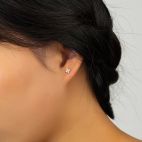 Σκουλαρίκια Καρφωτά με Τέσσερα Λευκά Ζιργκόν σε Σχήμα Φύλλων Επίχρυσα Ασήμι 925 - Beautylook